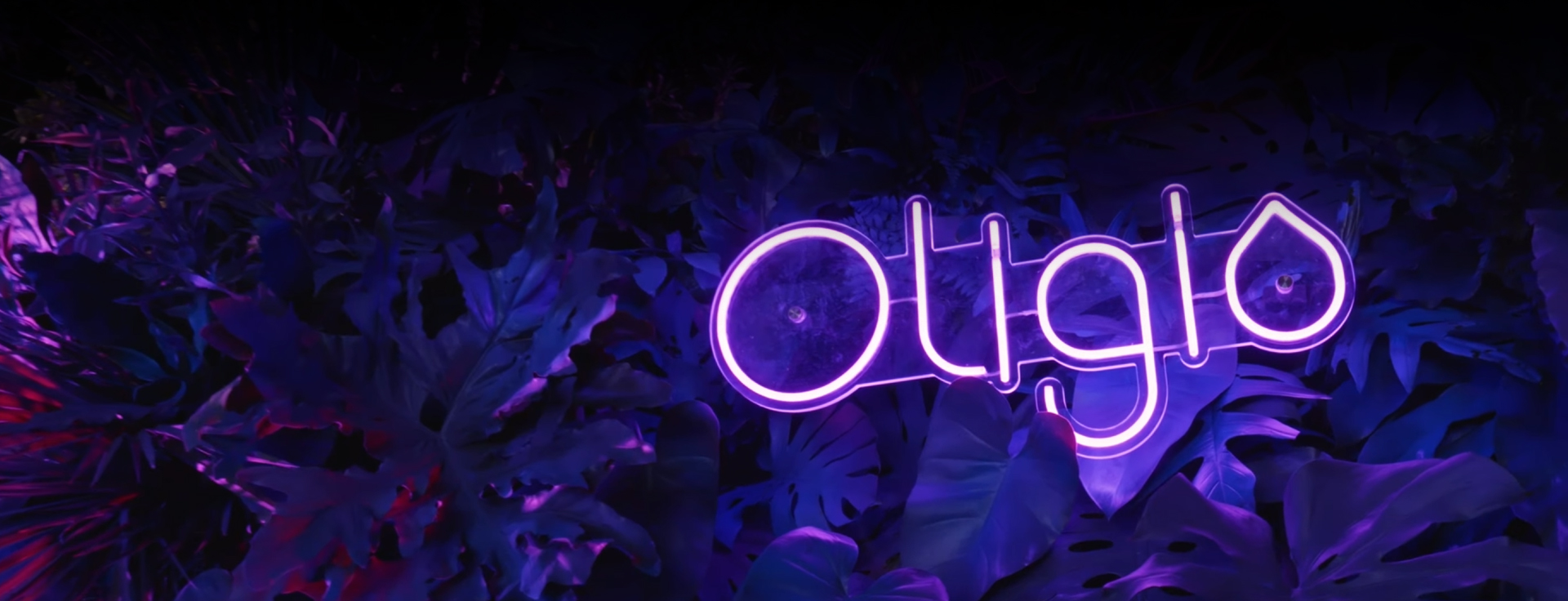 Oligio Exclusive Grand Launch